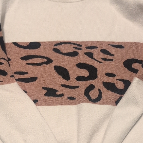 Leopard Print Colorblock Sweater - Picture 3 of 4